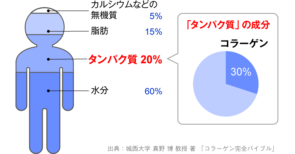 カルシウムなどの無機質5％／脂肪15％／たんぱく質20％（「たんぱく質」の成分：コラーゲン30％）／水分60％