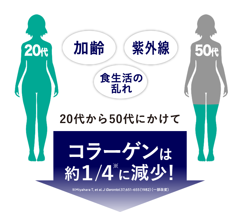 加齢 紫外線 食生活の乱れ 20代から50代にかけてコラーゲンは約1/4に減少