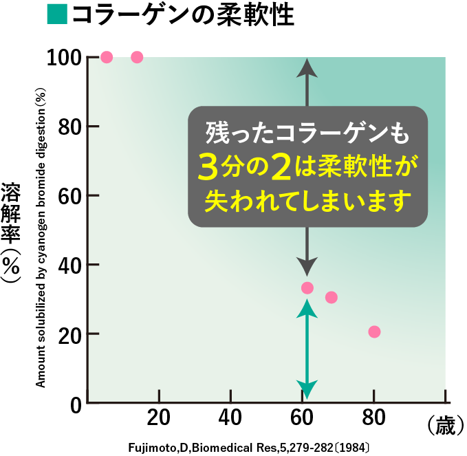 コラーゲンの柔軟性 残ったコラーゲンも3分の2は柔軟性が失われてしまいます