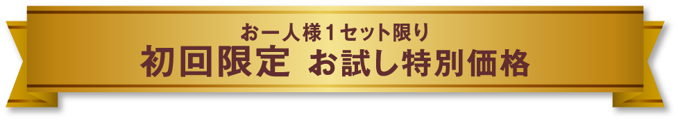 お一人様1セット限り 初回限定 お試し特別価格