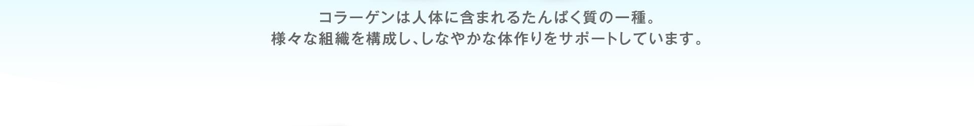 コラーゲンは人体に含まれるタンパク質の一種。様々な組織を構成し、しなやかな体作りをサポートしています。