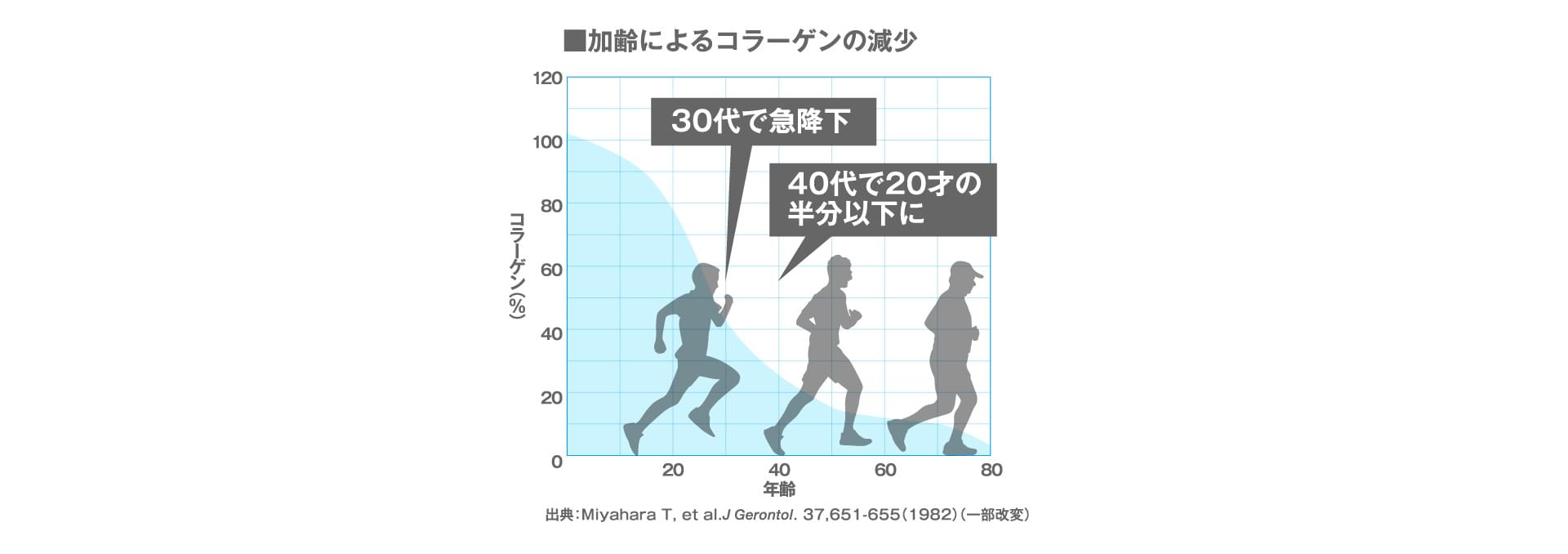 加齢によるコラーゲンの減少 30代で急行化 40代で20歳の半分以下に